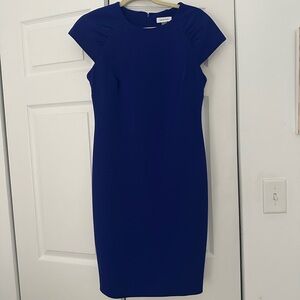 NWT  Calvin Klein Blue Dress 8